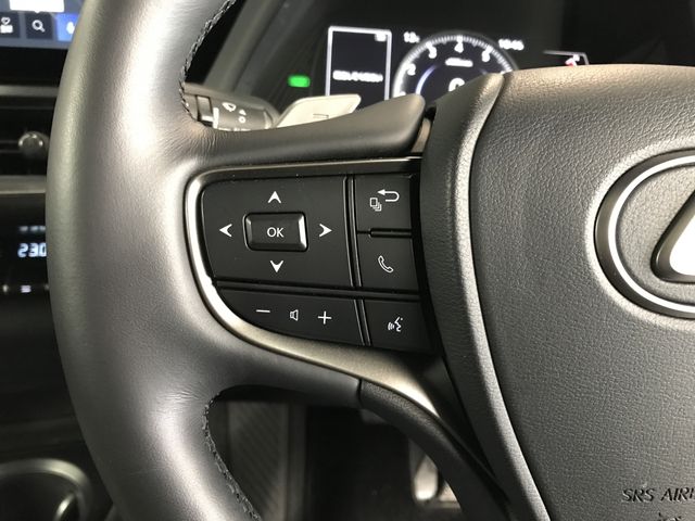 TOYOTA LEXUS UX250H 2023 Image 31