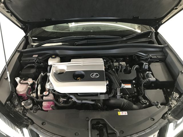 TOYOTA LEXUS UX250H 2023 Image 31