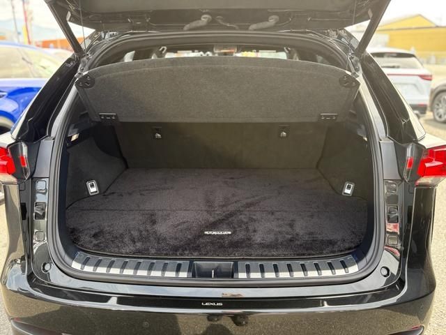 TOYOTA LEXUS NX300 2018 Image 31