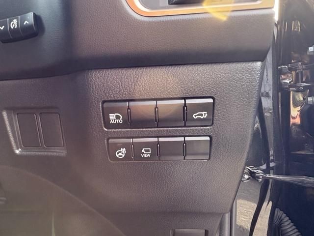 TOYOTA LEXUS NX300 2018 Image 31