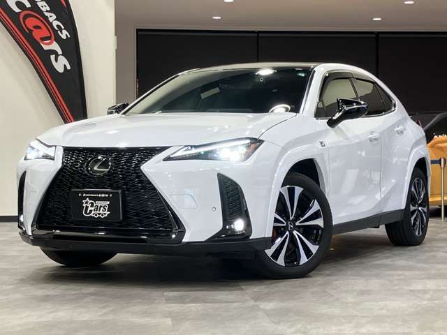 TOYOTA LEXUS UX250H AWD 2023 Image 31