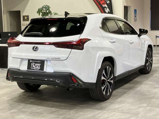 TOYOTA LEXUS UX250H AWD 2023 Image 31