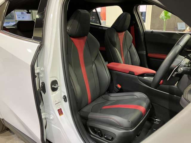 TOYOTA LEXUS UX250H AWD 2023 Image 31