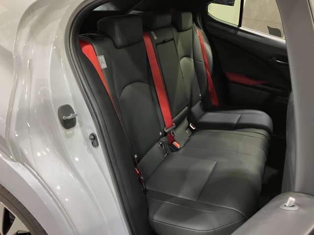 TOYOTA LEXUS UX250H AWD 2023 Image 31