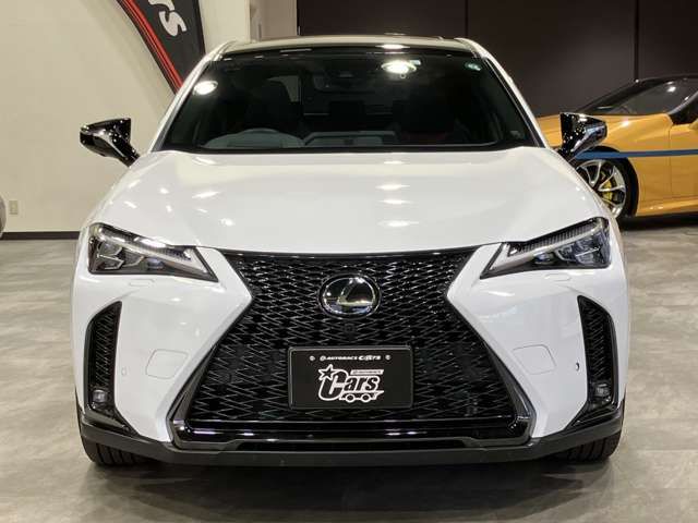 TOYOTA LEXUS UX250H AWD 2023 Image 31