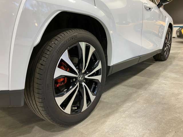 TOYOTA LEXUS UX250H AWD 2023 Image 31