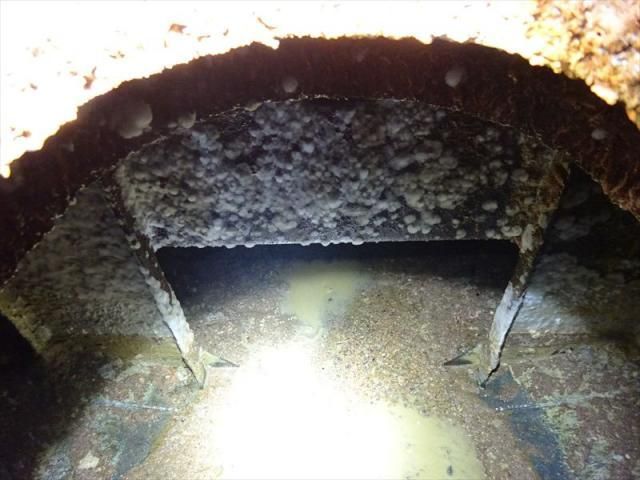 MAZDA TITAN 2009 Image 31