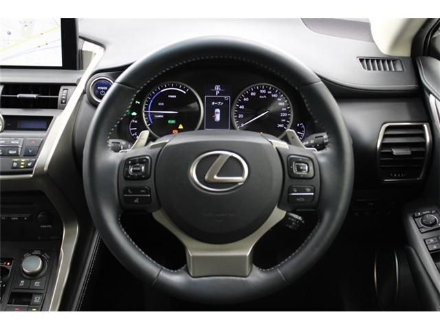 TOYOTA LEXUS NX300H 2014 Image 31