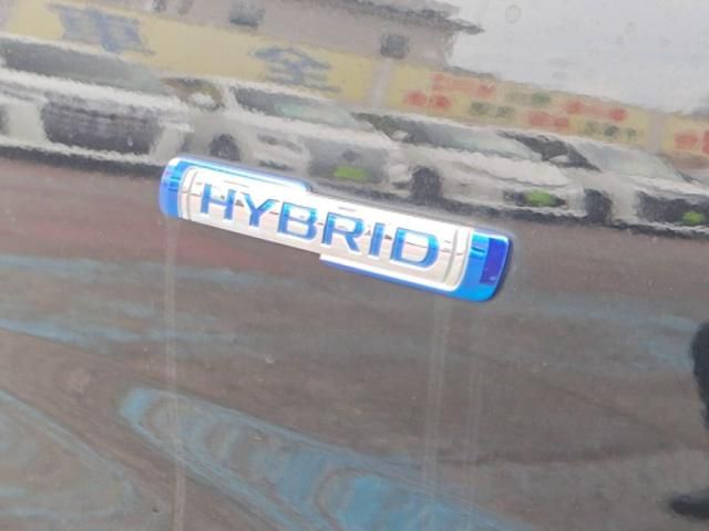 SUZUKI SOLIO BANDIT 2020 Image 31