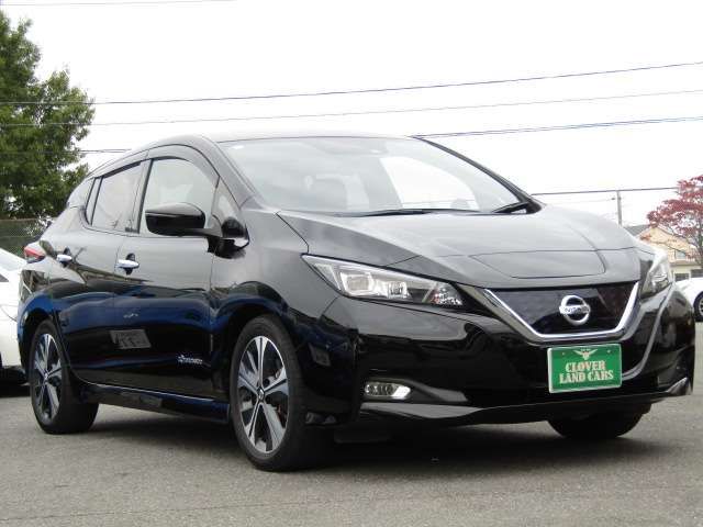 NISSAN LEAF 2019 Image 31