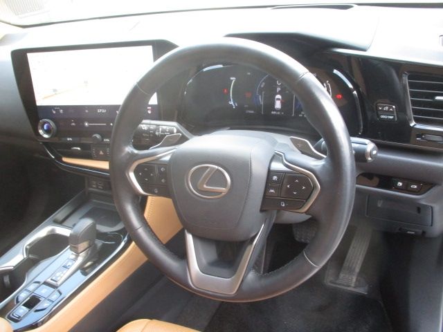 TOYOTA LEXUS NX450H+ AWD 2022 Image 31