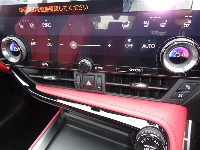 TOYOTA LEXUS NX350H 2023 Image 31