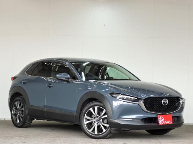 MAZDA CX-30 2021 Image 31