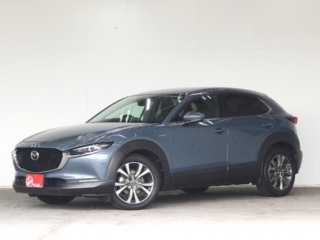 MAZDA CX-30 2021 Image 31