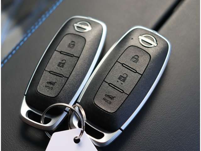 NISSAN X-TRAIL 4WD 2024 Image 31