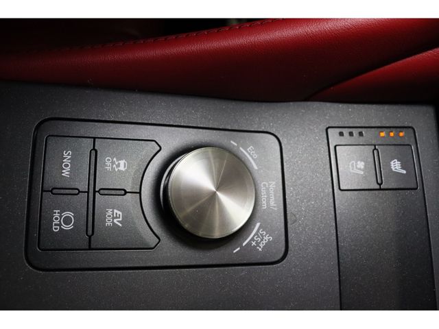 TOYOTA LEXUS RC300H 2022 Image 31