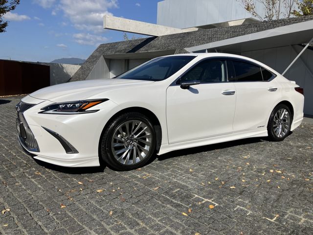 TOYOTA LEXUS ES300H 2019 Image 31