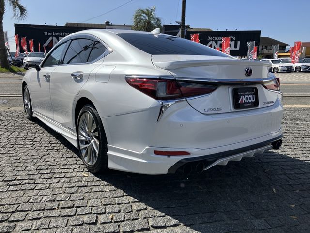 TOYOTA LEXUS ES300H 2019 Image 31