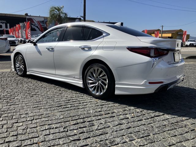 TOYOTA LEXUS ES300H 2019 Image 31