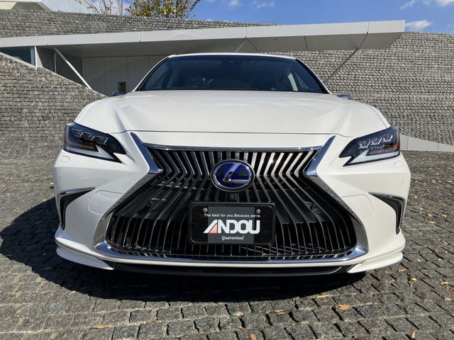 TOYOTA LEXUS ES300H 2019 Image 31