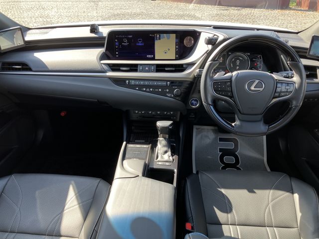 TOYOTA LEXUS ES300H 2019 Image 31