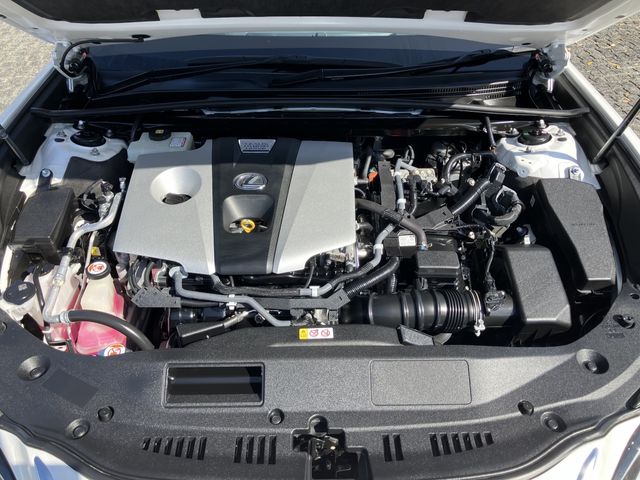 TOYOTA LEXUS ES300H 2019 Image 31