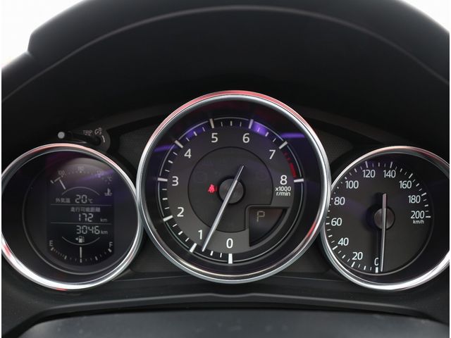 MITSUOKA ROCK STAR 2021 Image 31