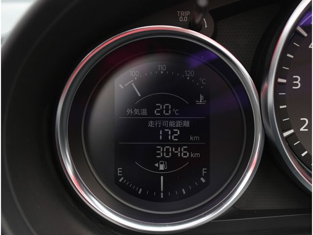 MITSUOKA ROCK STAR 2021 Image 31