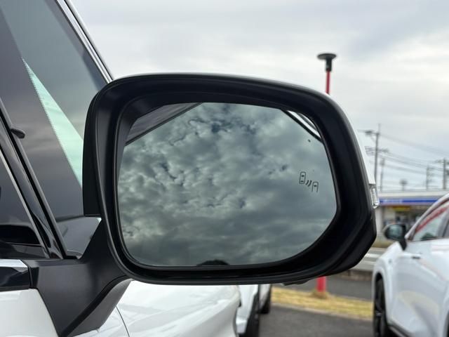 TOYOTA ALPHARD HYBRID 2024 Image 31