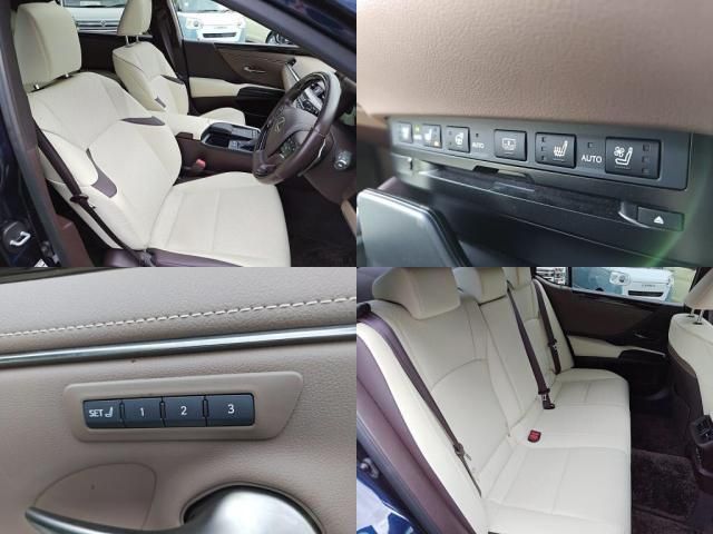 TOYOTA LEXUS ES300H 2021 Image 31