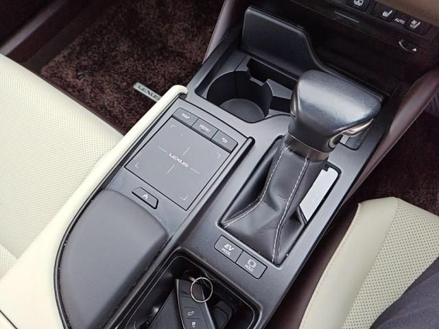 TOYOTA LEXUS ES300H 2021 Image 31