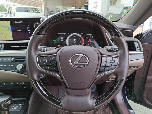 TOYOTA LEXUS ES300H 2021 Image 31