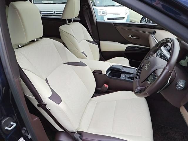 TOYOTA LEXUS ES300H 2021 Image 31