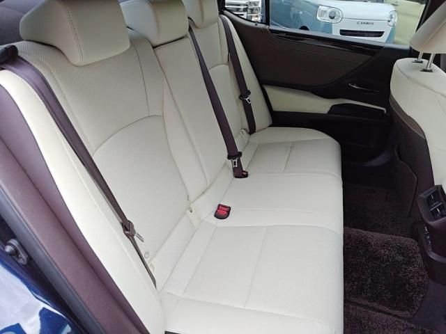 TOYOTA LEXUS ES300H 2021 Image 31