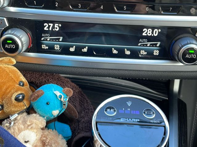 BMW 7SERIES 2020 Image 31