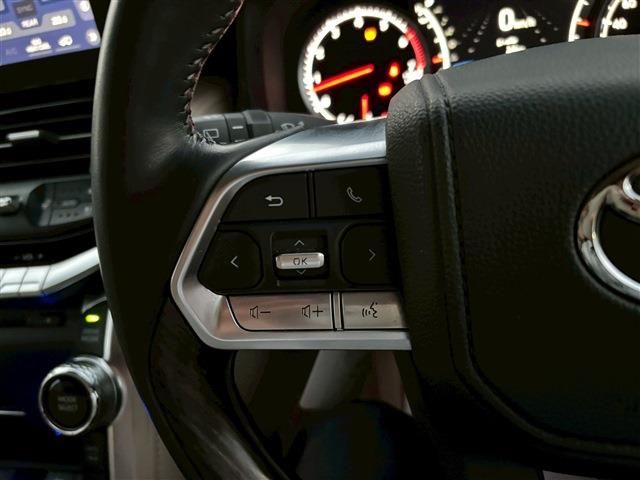 TOYOTA LANDCRUISER WAGON 2024 Image 31