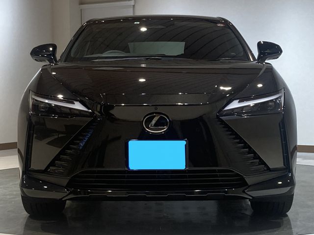 TOYOTA LEXUS RZ450E 2023 Image 31