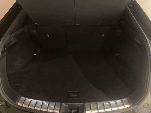 TOYOTA LEXUS RZ450E 2023 Image 31