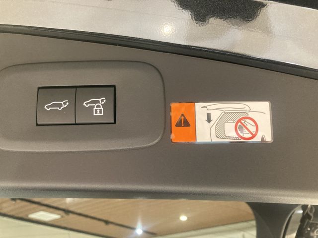 TOYOTA LEXUS RZ450E 2023 Image 31