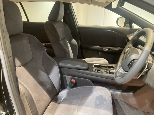 TOYOTA LEXUS RZ450E 2023 Image 31
