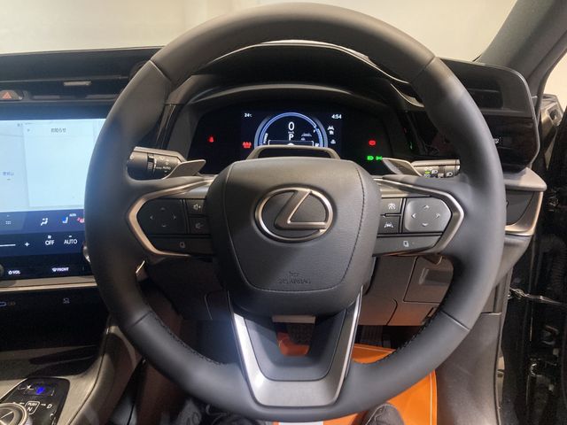 TOYOTA LEXUS RZ450E 2023 Image 31