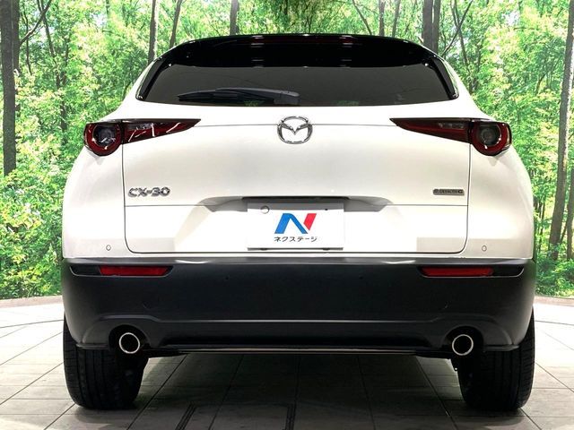 MAZDA CX-30 2023 Image 31