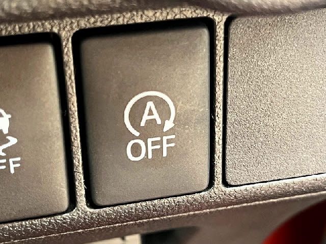 DAIHATSU CAST STYLE 2017 Image 31