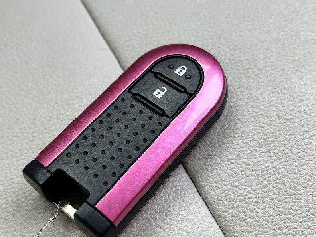 DAIHATSU CAST STYLE 2017 Image 31