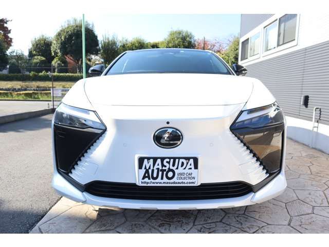 TOYOTA LEXUS RZ450E 2023 Image 31