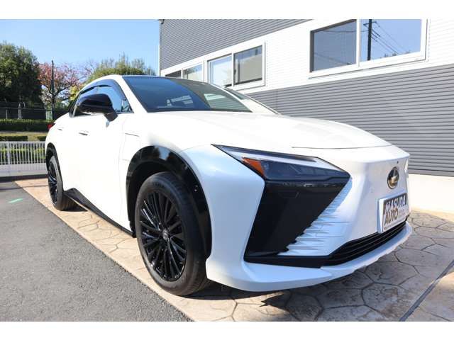 TOYOTA LEXUS RZ450E 2023 Image 31