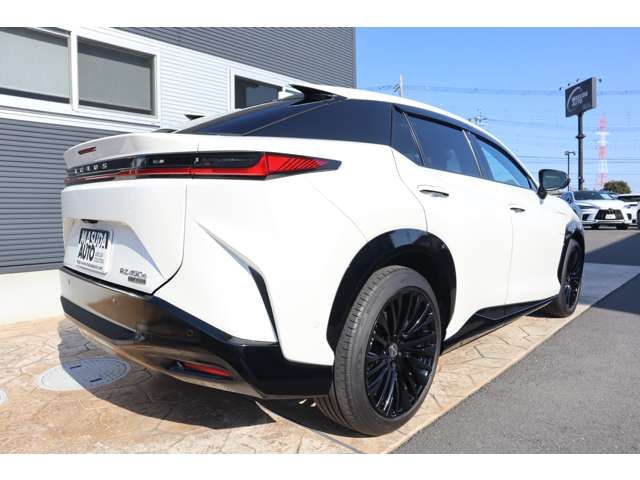 TOYOTA LEXUS RZ450E 2023 Image 31