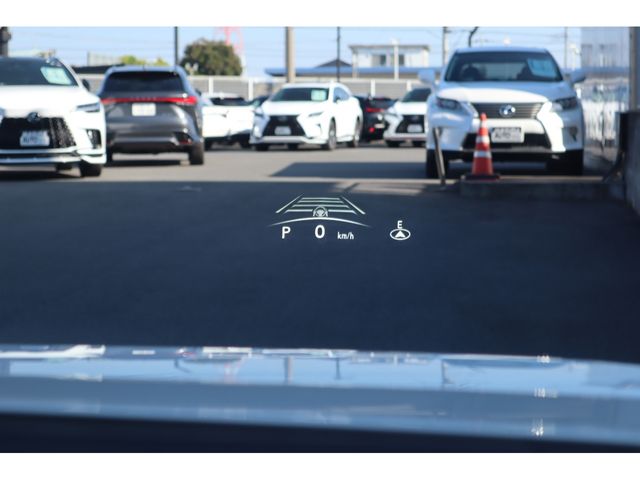 TOYOTA LEXUS RZ450E 2023 Image 31