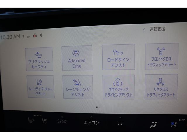 TOYOTA LEXUS RZ450E 2023 Image 31