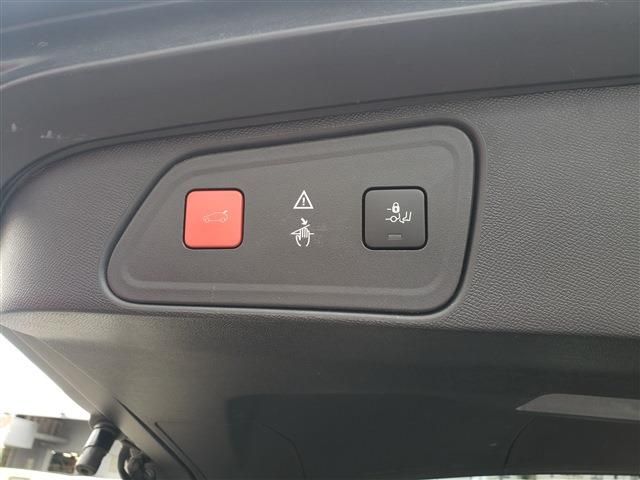 PEUGEOT 3008 2019 Image 31